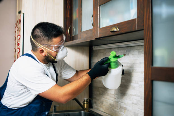 Best Best Pest Control Companies  in Keystone, FL