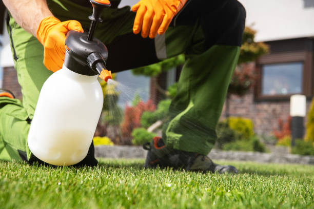 Best Termite Control Services  in Keystone, FL