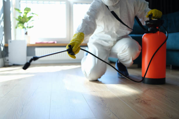 Professional Pest Control in Keystone, FL