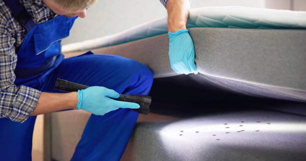 Best Affordable Pest Control Services  in Keystone, FL