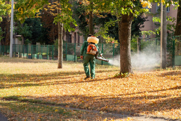 Pest Prevention Services in Keystone, FL